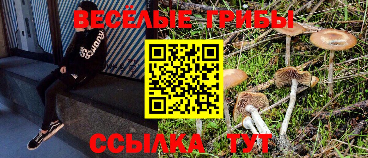 Галлюциногенные грибы Magic Shrooms Лангепас